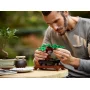 Man carefully assembling LEGO bonsai with green foliage and brown trunk on rectangular base Man carefully assembling LEGO bonsai with green foliage and brown trunk on rectangular base