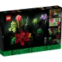LEGO Succulents 10309 box showing nine colorful brick-built plants: cacti, flowers and succulents in black pots