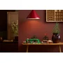 Complete LEGO Shire set with green hobbit houses, characters and trees displayed on wooden table in cozy interior setting