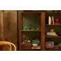 LEGO Shire set displayed on wooden shelf with hobbit houses, green gardens and characters in a cozy living room setting