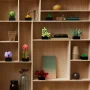 Estantería de madera con plantas suculentas LEGO coloridas en macetas negras, acompañadas de libros y objetos decorativos Estantería de madera con plantas suculentas LEGO coloridas en macetas negras, acompañadas de libros y objetos decorativos