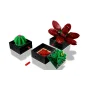 Vista general de cuatro plantas suculentas LEGO en macetas negras cuadradas: cactus verde, flor roja burdeos y suculentas verdes Vista general de cuatro plantas suculentas LEGO en macetas negras cuadradas: cactus verde, flor roja burdeos y suculentas verdes