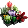 Panoramica delle piante grasse LEGO con cactus rosa, fiore viola, succulenta verde e fiore rosso su base modulare nera